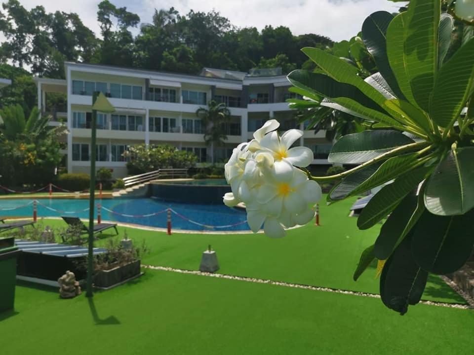 Ban Karon Karon Butterfly Condominuim المظهر الخارجي الصورة